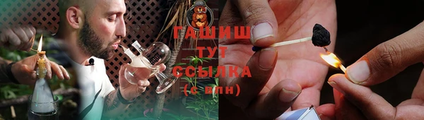 МДПВ Вяземский