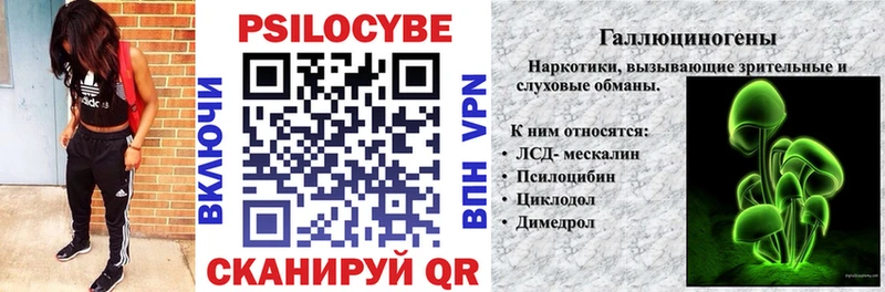 цены наркотик  Калачинск  Псилоцибиновые грибы Psilocybine cubensis 